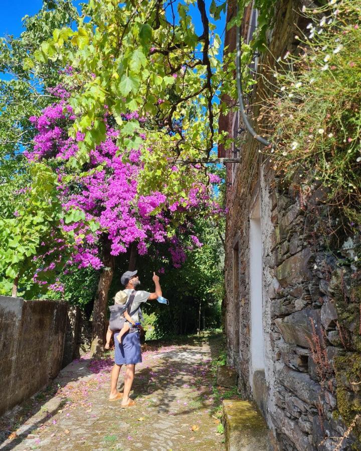Out Of Town Hostel Castelo de Paiva Buitenkant foto